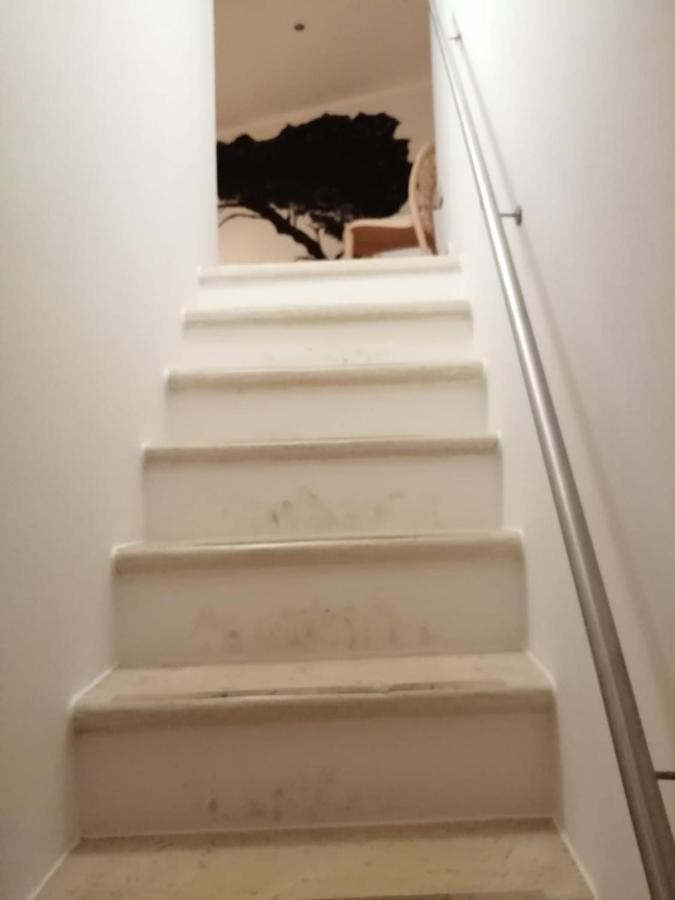 הוילה קונברסאנו Rosa'S House מראה חיצוני תמונה