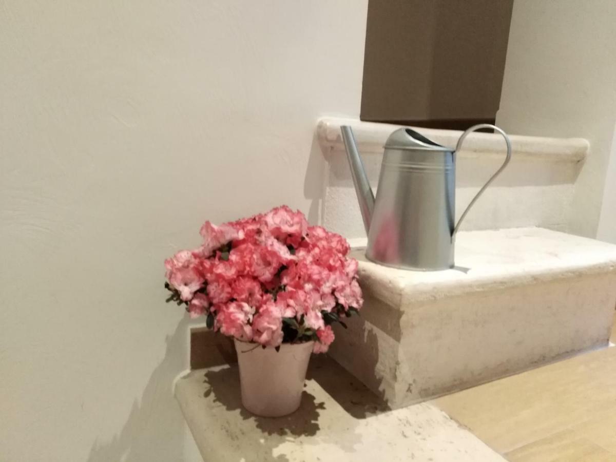 הוילה קונברסאנו Rosa'S House מראה חיצוני תמונה