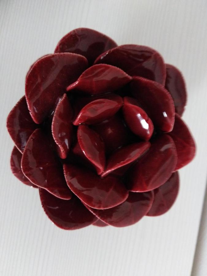 הוילה קונברסאנו Rosa'S House מראה חיצוני תמונה